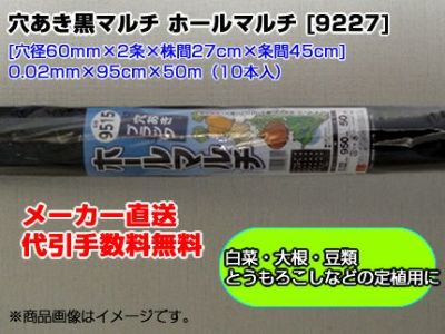 シンセイ ﾎｰﾙﾏﾙﾁ 黒マルチ 9227 0.02mm X 95cm X 50m 10本 穴あきマルチ 2列 農業資材 家庭菜園 マルチング マルチシート 白菜 レタス 大根 とうもろこし 枝豆 落花生