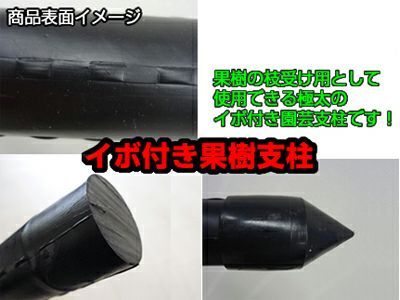 個人宅配送OK シンセイ イボ付き 果樹支柱 枝受支柱 33mm X 2400mm 20本入 【枝受ホルダー20個・支柱ストッパー20個セット】 果樹枝受支柱 りんご ぶどう 梨 柿 桃 ハウスみかん