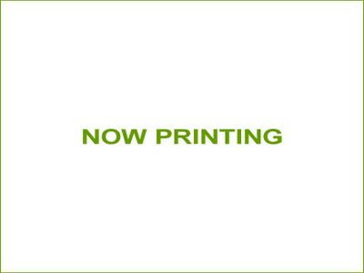 【永田】50mmハイプレッシャーホース（赤）12m 金具付
