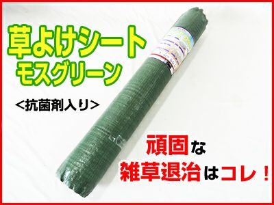 個人宅配送OK 防草シート 1m シンセイ 高質草よけシート グリーン 100cm X 50m 1本 135g /m2 耐用年数約4～6年 国産UV剤4％入 抗菌剤入 厚手 緑 農業資材 メガソーラー 太陽光発電