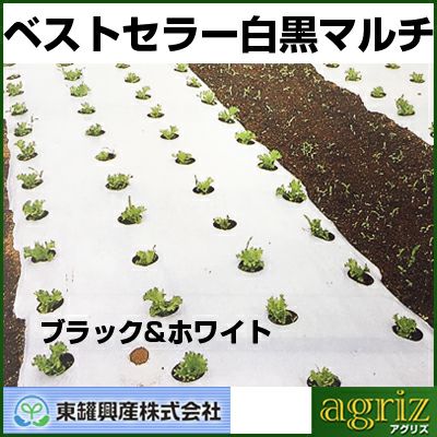 東罐 トーカン 白黒マルチ ブラック＆ホワイト 厚さ0.025mm 巾135cm 200m巻 2本入 農業資材 地温抑制 反射 遮光 ハウス栽培 露地野菜 トマト イチゴ マメ レタス ハクサイ ホウレンソウ ダイコン メロン キュウリ