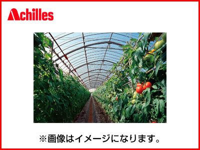 個人宅OK アキレス 外張り用 農ビ 晴天（ノンキリーあすか） 厚さ0.1mm X 巾200cm X 100m巻 農業資材 ビニールハウス 防霧滴 透明 保温