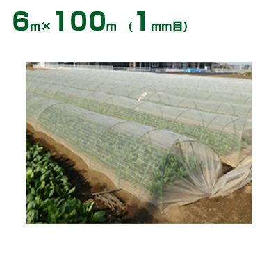 ダイオ化成 防虫ネット ダイオサンシャイン S-2000 1mm目 6m×100m(農業用)(園芸用)(家庭菜園)(代引不可)