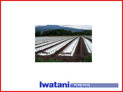 岩谷 イワタニ 三層シルバーポリ 防虫マルチ 0.03mm×150cm×200m 2本入