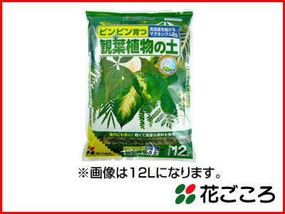 花ごころ 観葉植物の土 2L  20セット