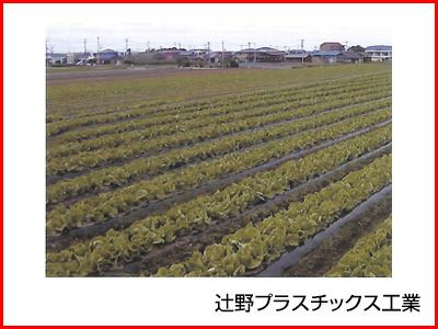 辻野プラスチックス 生分解性 黒マルチ ビオトップ 0.018mm×135cm×200m 5本入 農業資材 生分解性マルチ 省力化 すき込み