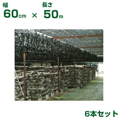 ダイオ化成 懸垂型 遮光資材 黒 ダイオフララ 60cm X 50m 6巻 農業資材 人工ほだ場 ホダ場 きのこ 【代引不可】