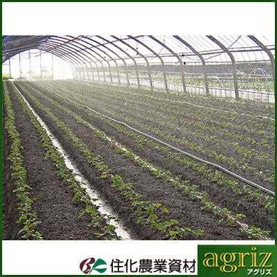 住化農業資材 スミサンスイ R育苗 100m巻 (~5.4m 高畝対応) 潅水チューブ 灌水チューブ