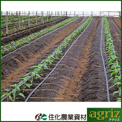 住化農業資材 ネオドリップ ヨコシタ 02L 200m巻 上下散水 (上)(下)10㎝千鳥 潅水チューブ 灌水チューブ