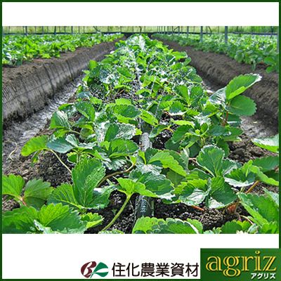 住化農業資材 ネオドリップ ウエシタ 04L 200m巻 (上)5㎝千鳥(下)10㎝千鳥 潅水チューブ 灌水チューブ