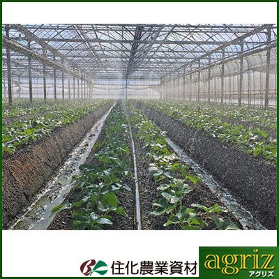 住化農業資材 スミチューブ ウエシタ 200m巻 0.3mmφ(上) 0.4mmφ(下) 潅水チューブ 灌水チューブ