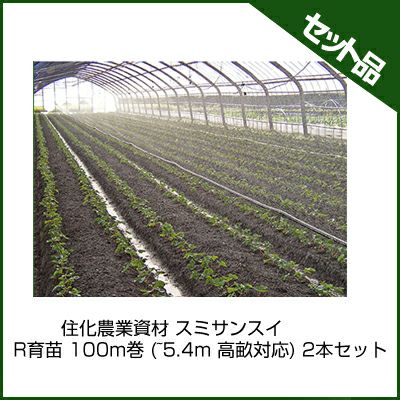 住化農業資材 スミサンスイ R育苗 100m巻 (~5.4m 高畝対応) 2本セット 潅水チューブ 灌水チューブ