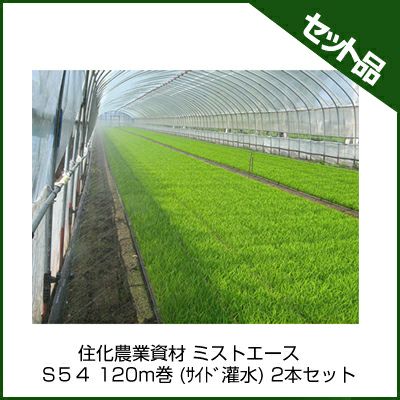住化農業資材 ミストエース S54 120m巻 (サイド灌水) 2本セット 潅水チューブ 灌水チューブ