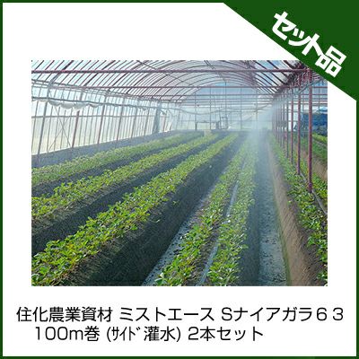 住化農業資材 ミストエース Sナイアガラ63 100m巻 (サイド灌水) 2本セット 潅水チューブ 灌水チューブ