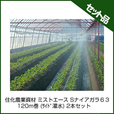 住化農業資材 ミストエース Sナイアガラ63 120m巻 (サイド灌水) 2本セット 潅水チューブ 灌水チューブ