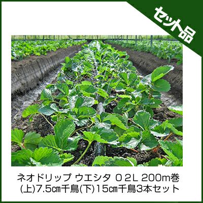 住化農業資材 ネオドリップ ウエシタ ０２L 200m巻 (上)7.5㎝千鳥(下)15㎝千鳥 3本セット 潅水チューブ 灌水チューブ