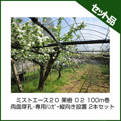 住化農業資材 ミストエース20 果樹 02 100m巻 両面穿孔・専用ハンガー縦向き設置 2本セット 潅水チューブ 灌水チューブ