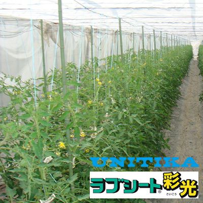 ユニチカ 内張りカーテン用 不織布 60557FHZ ラブシート採光 210cm×100m 2本入