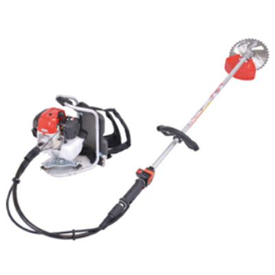 000000067410-01-m.jpg?t=